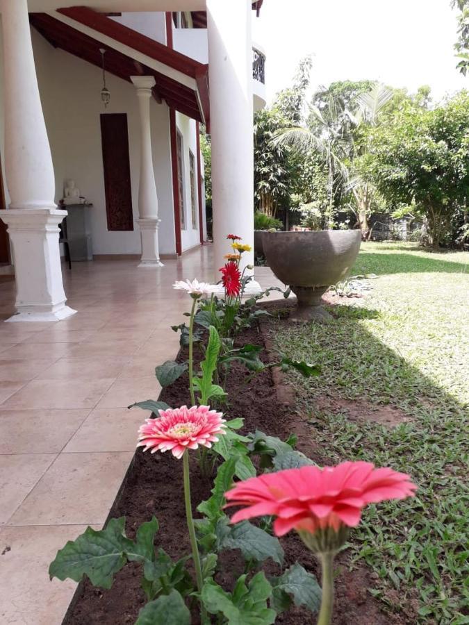 Blue Point Rest Hotel Tangalle Exterior photo